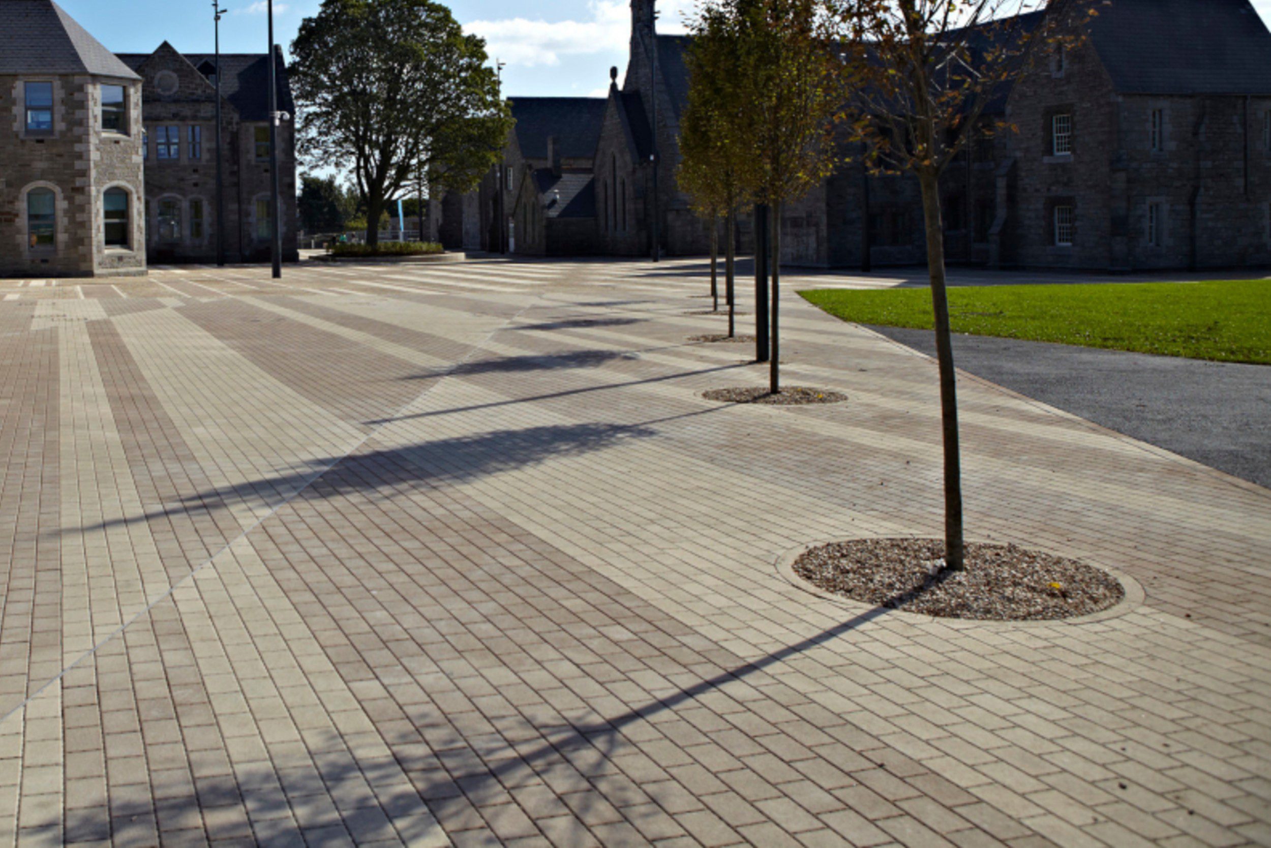 Grangegorman Page 31