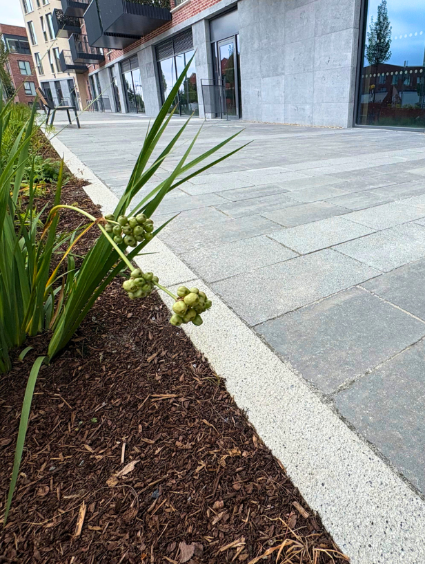 Tara Kerb product image