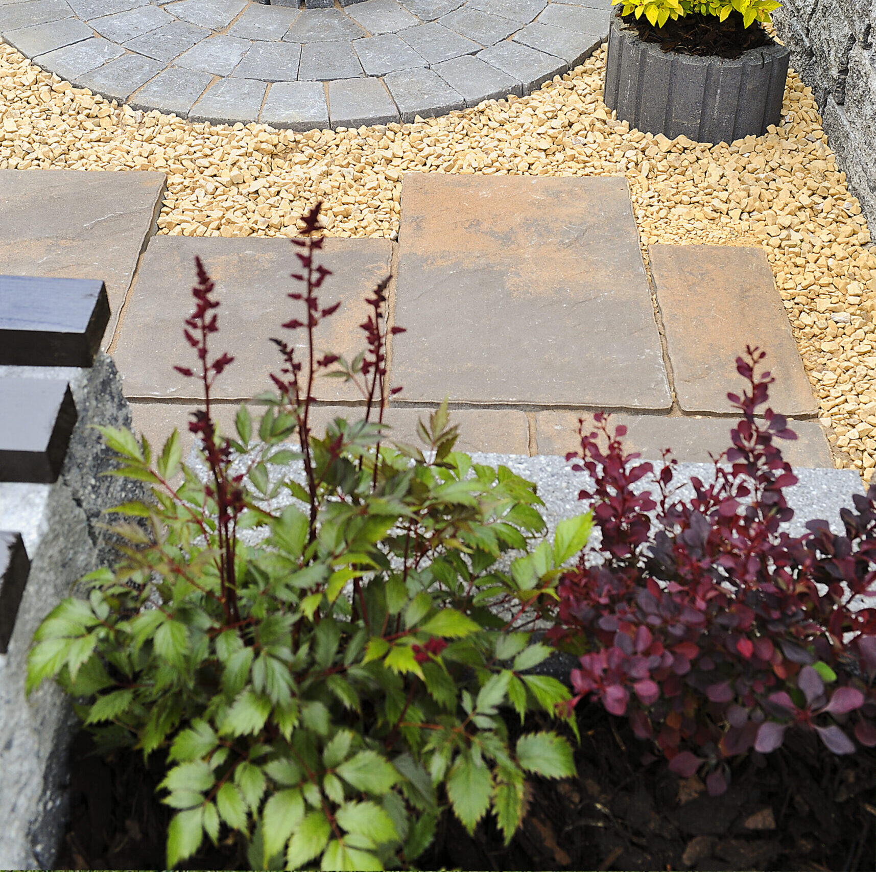 Belvedere 6.2009.0027