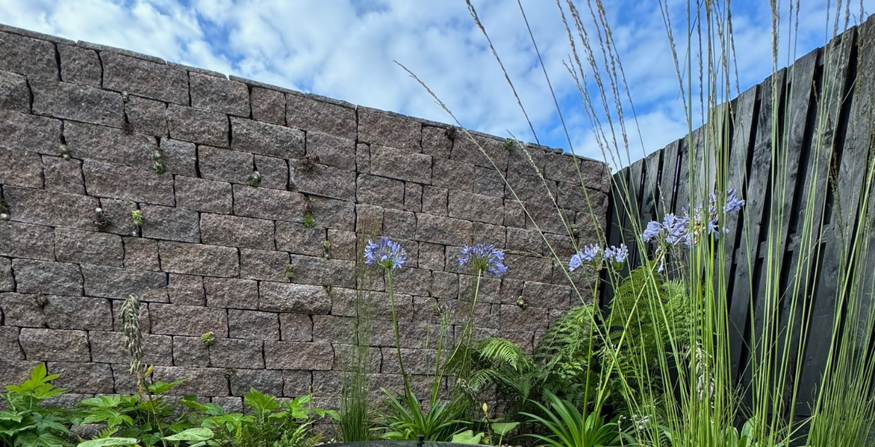 Cover Images Website (10)
