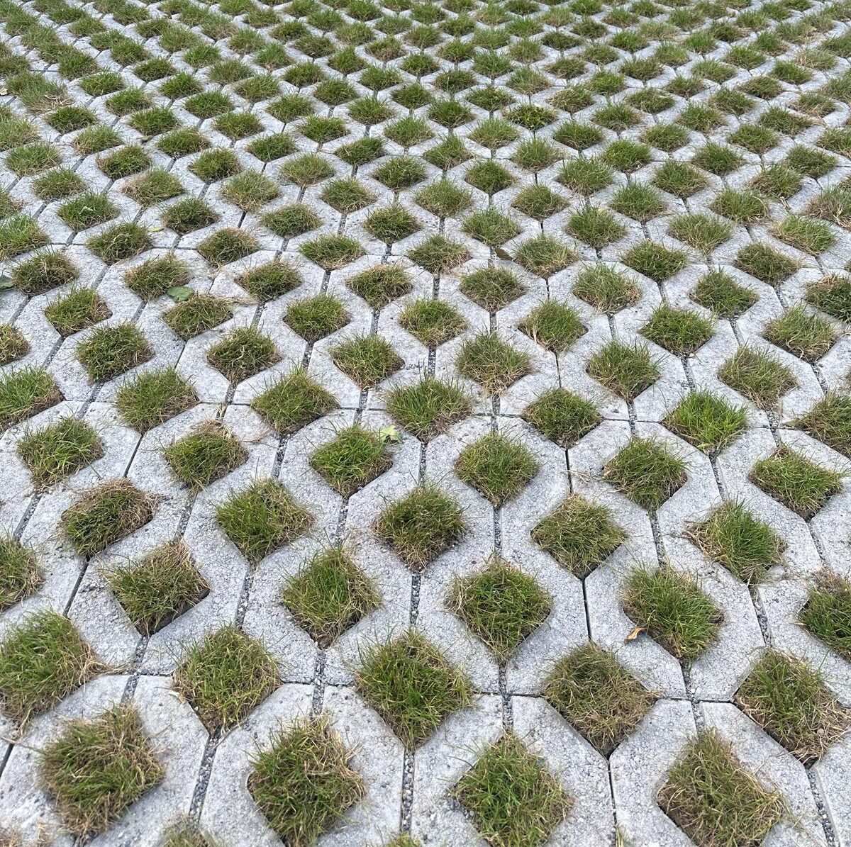 WhatsApp Image 2024-10-01 at 15.11.12_71d760c6