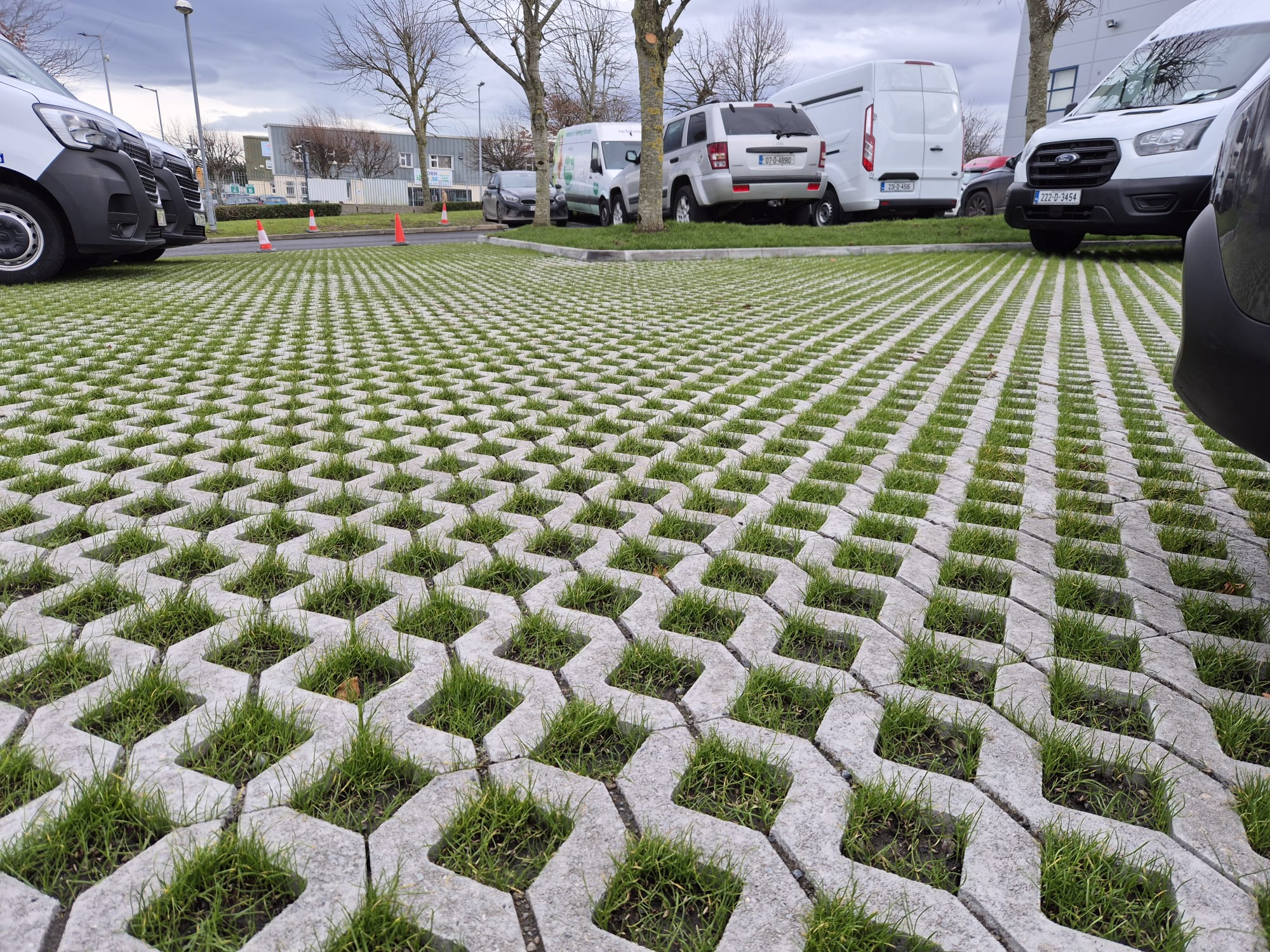 WhatsApp Image 2025-08-11 at 16.41.12_9e9a2c8c