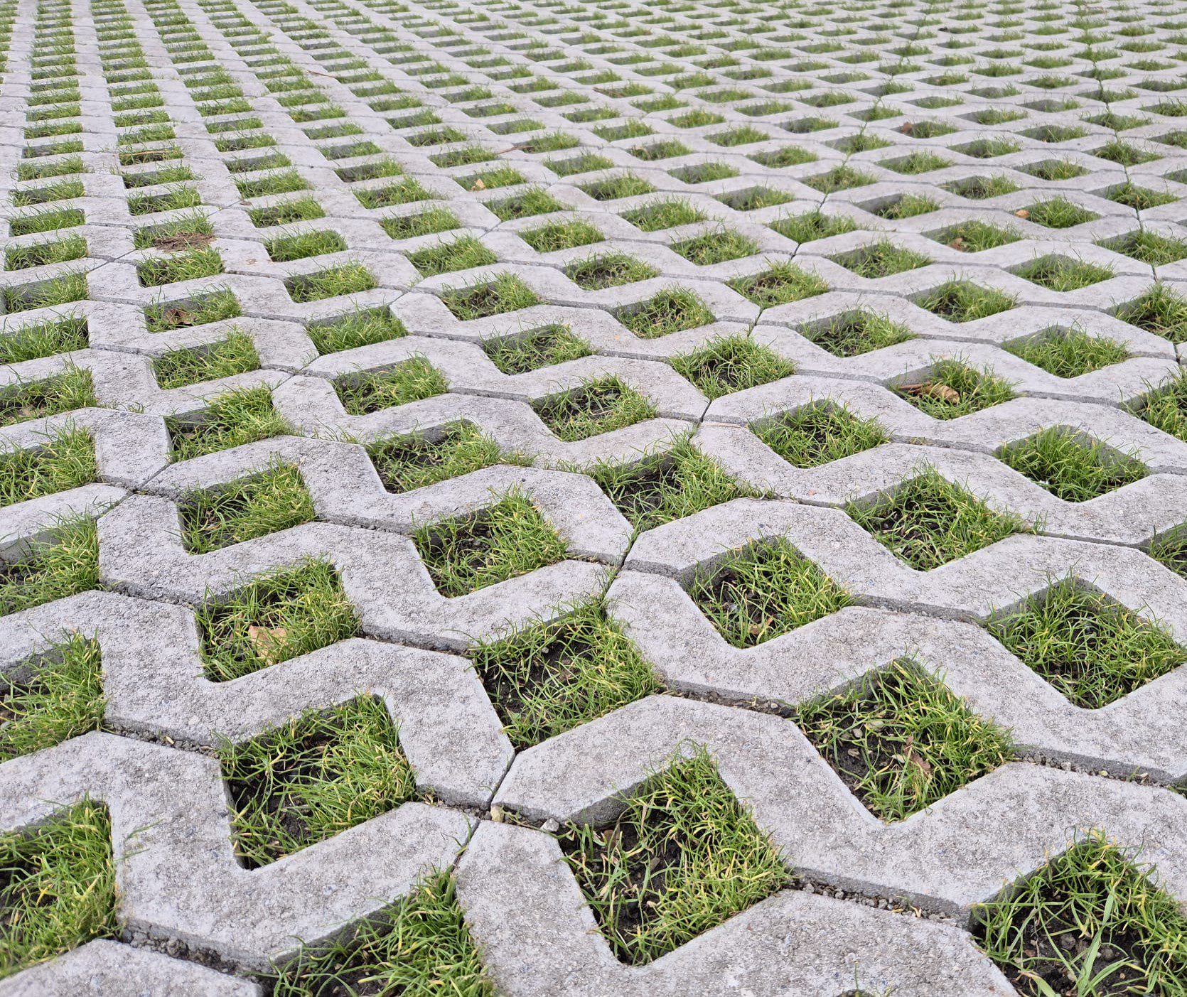 WhatsApp Image 2025-08-11 at 16.41.12_b39fee4b