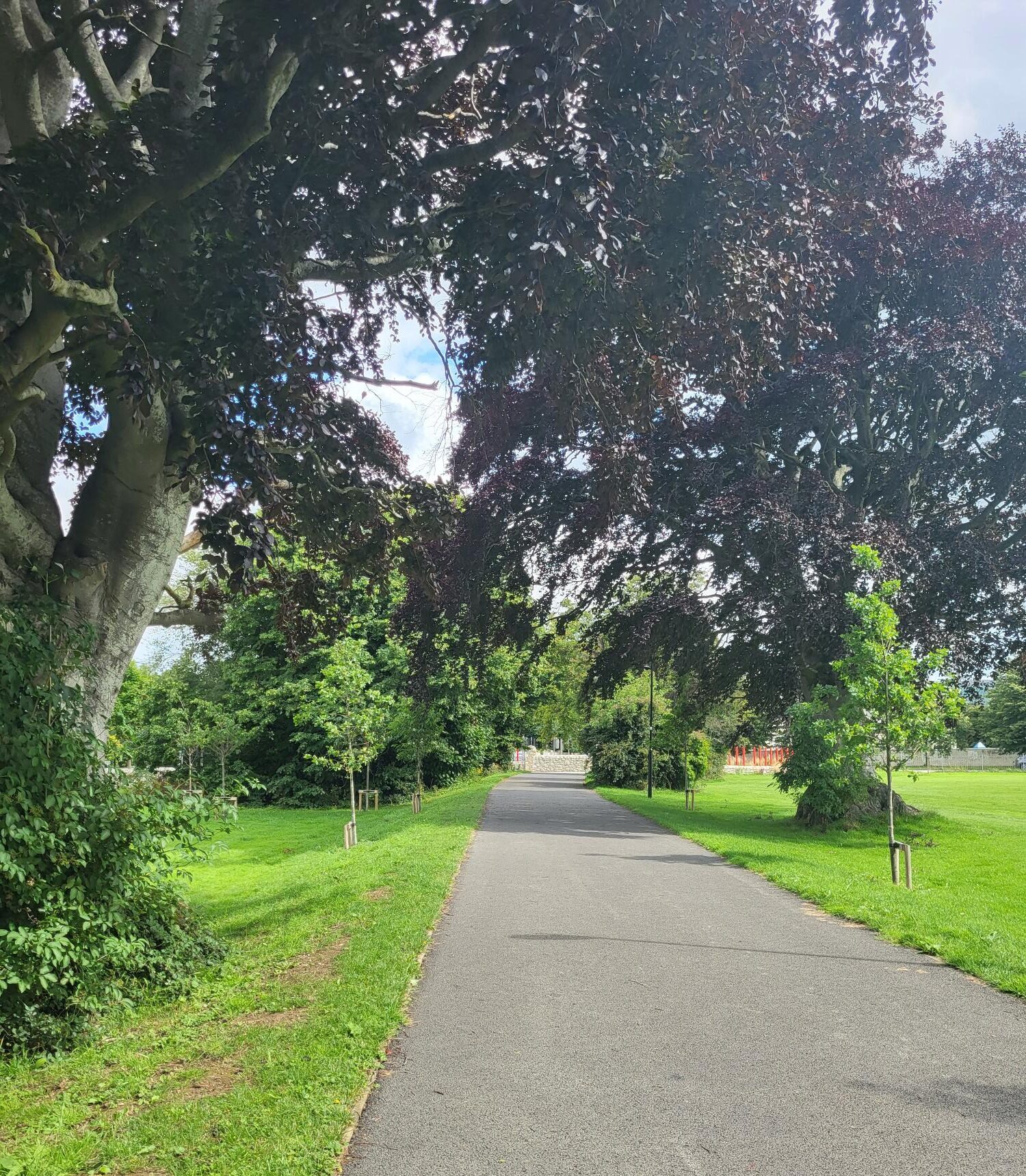 dodder greenway4
