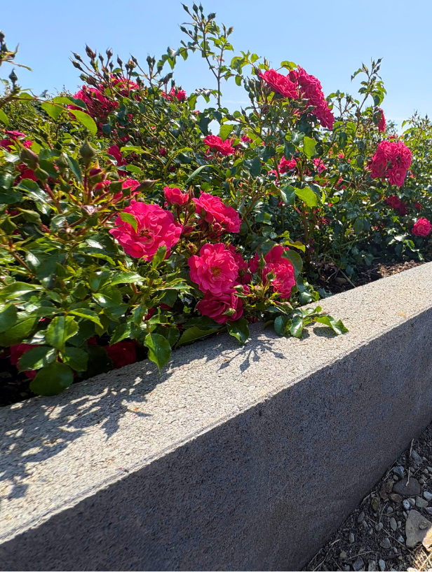 Classic Kerb product image