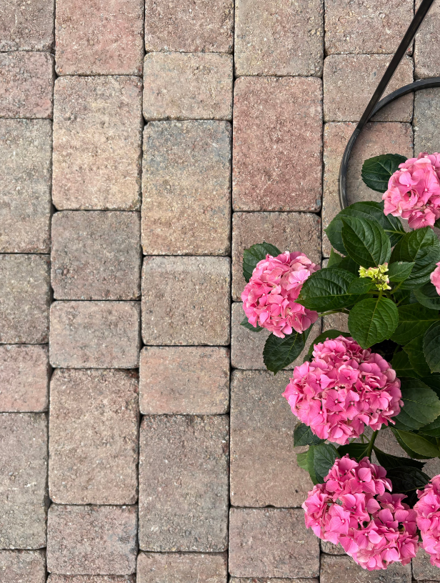 Mellifont Cobbles product image